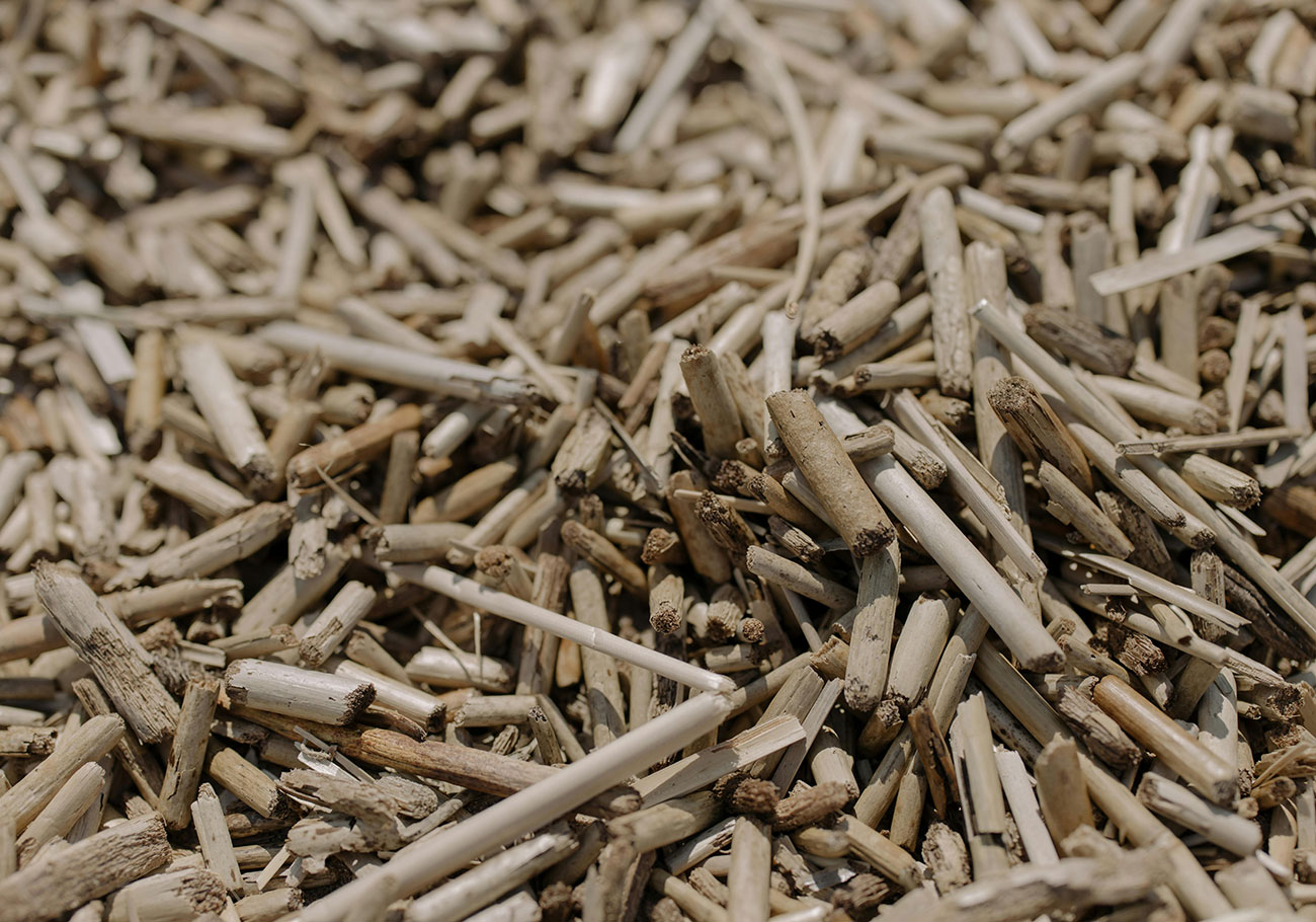 Biomass-and-Biofuels