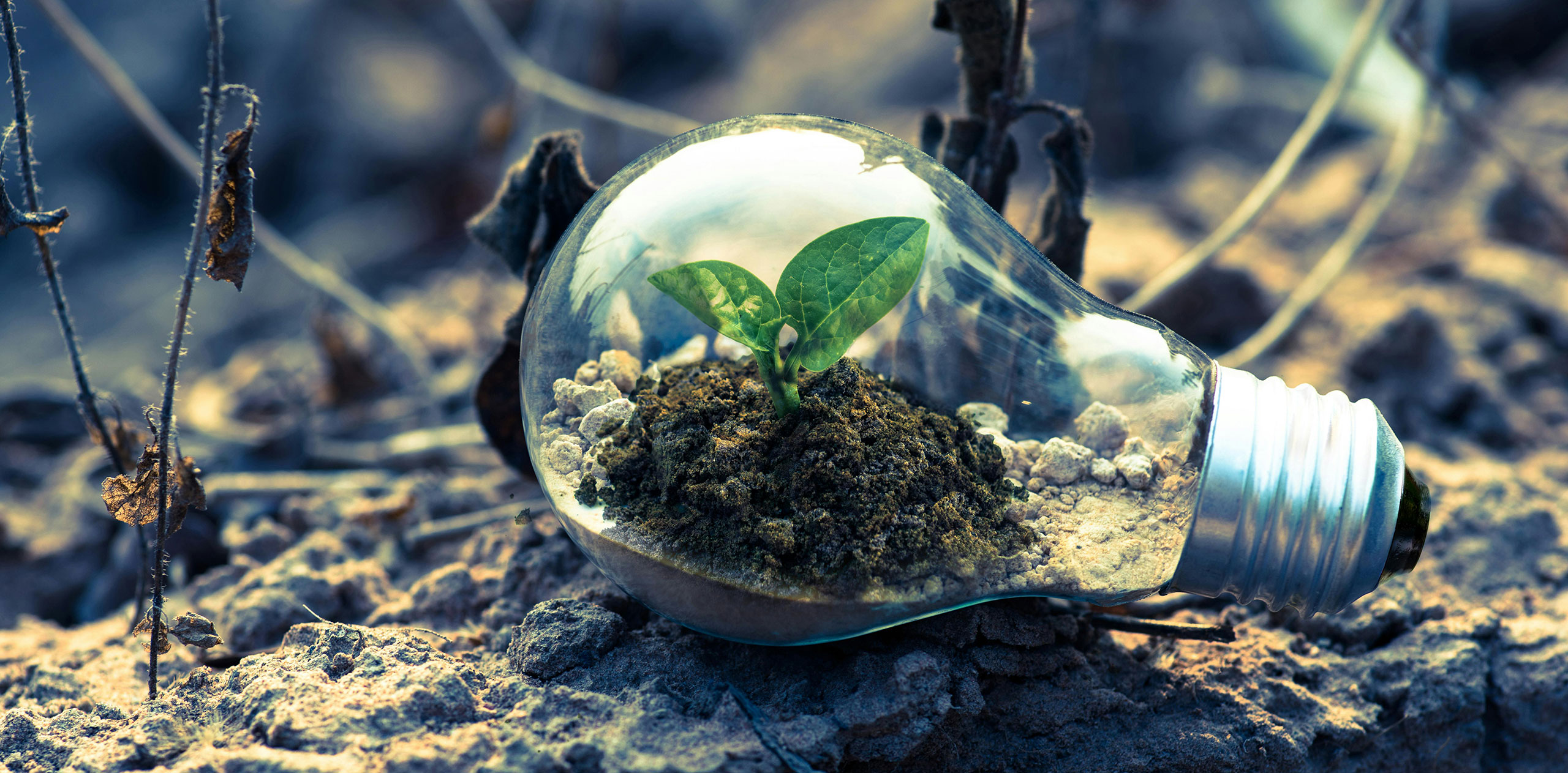 Renewable-Technology-and-Its-Future